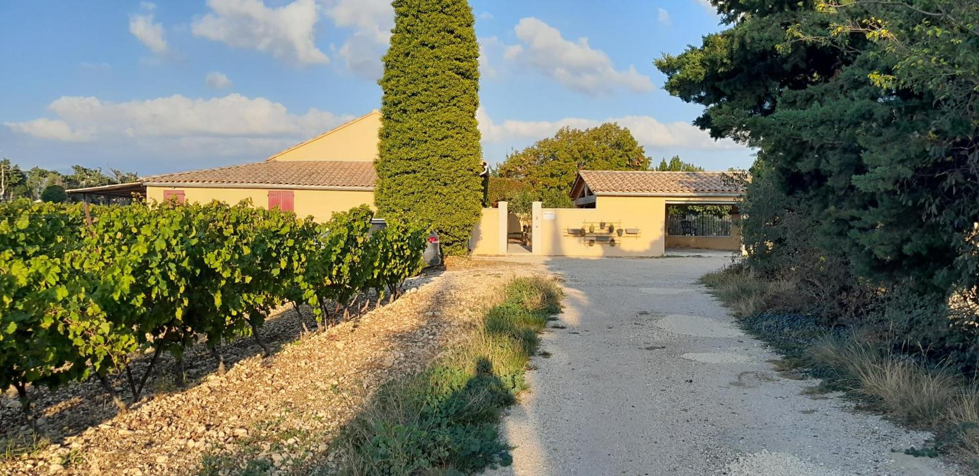 Mas La Gentille ,,, A La Campagne , Beautiful Outdoor , Swimming Pool , Pool House , Nice Green Garden , Bbq ,,, Only For You , Pour Passer Un Sejour Inoubliable Pernes-les-Fontaines Luaran gambar